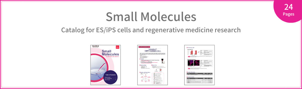 SmallMolecules-Catalog_img02.png
