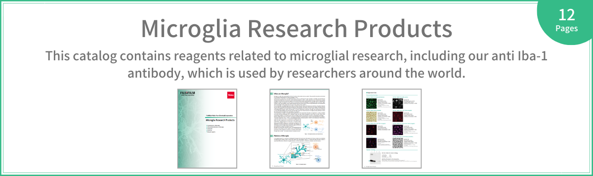 microglia_research2022_banner02.png