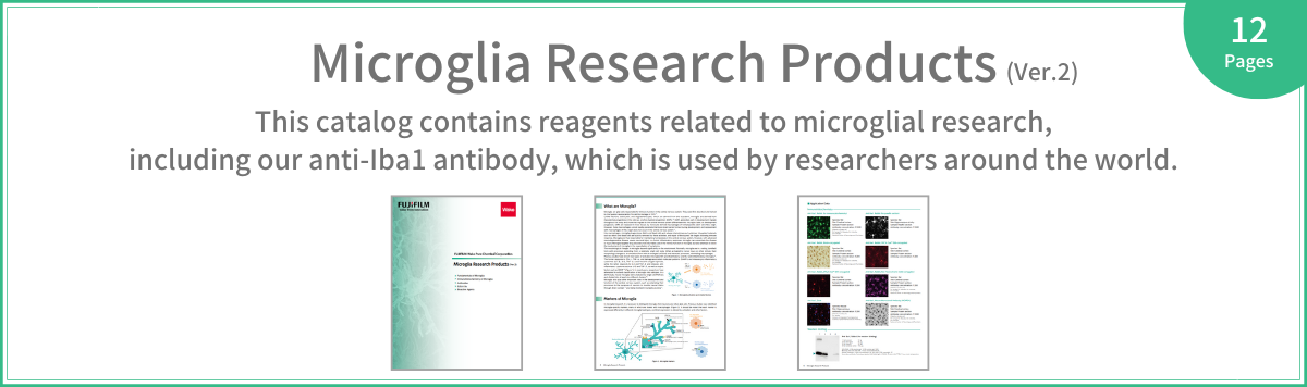microglia_research2022_banner02R.png